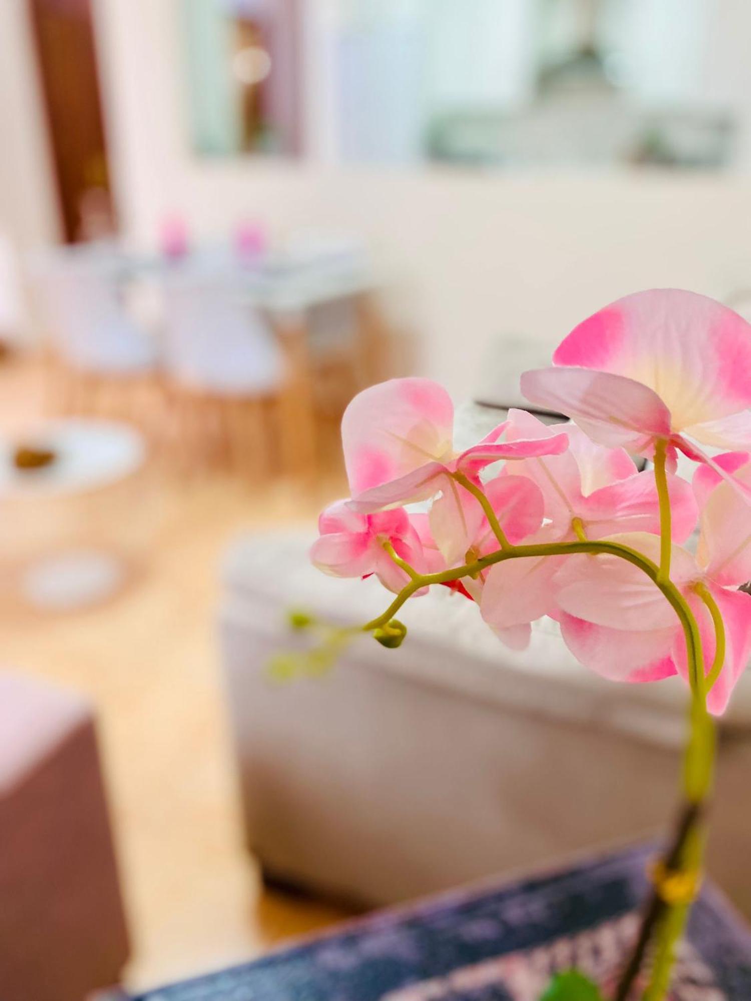 M&m Appartement *